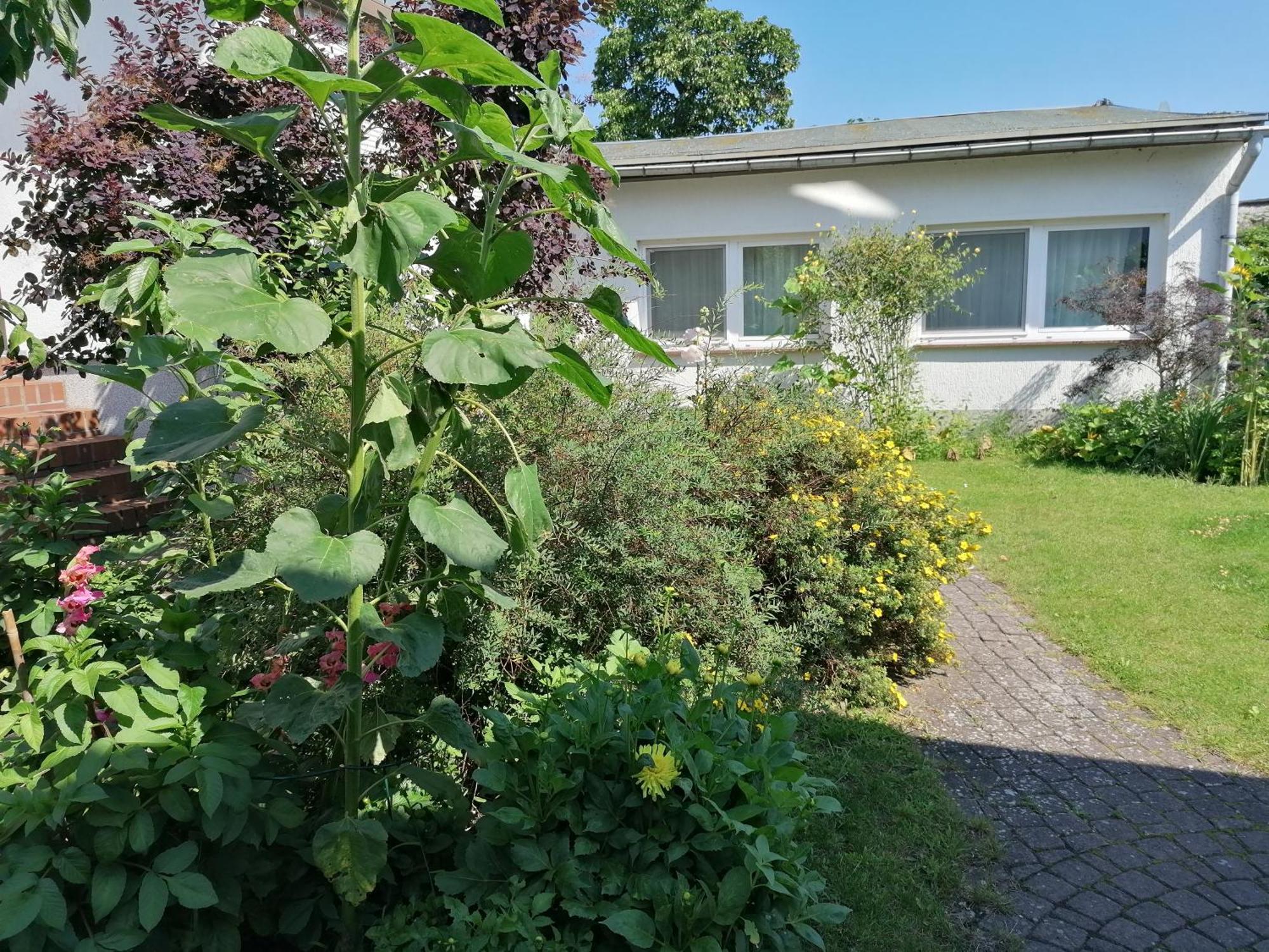 Pension Haus Anneliese Ückeritz Eksteriør billede