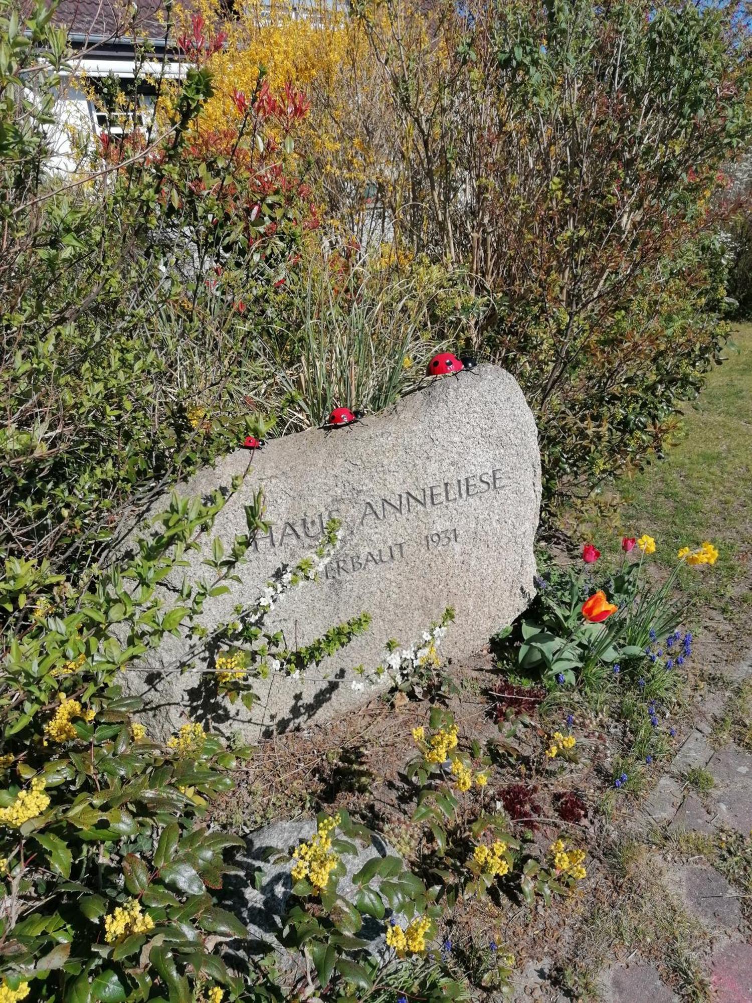 Pension Haus Anneliese Ückeritz Eksteriør billede